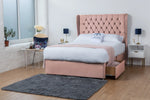 pink-plush-velvet