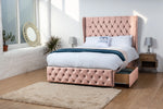 pink-plush-velvet