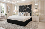 Black Plush Velvet