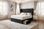 black-plush