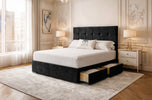 black-plush