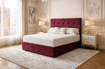 maroon-plush