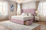pink-plush