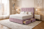 pink-plush