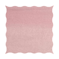 Pink Plush Velvet