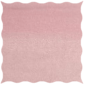 Pink Plush Velvet