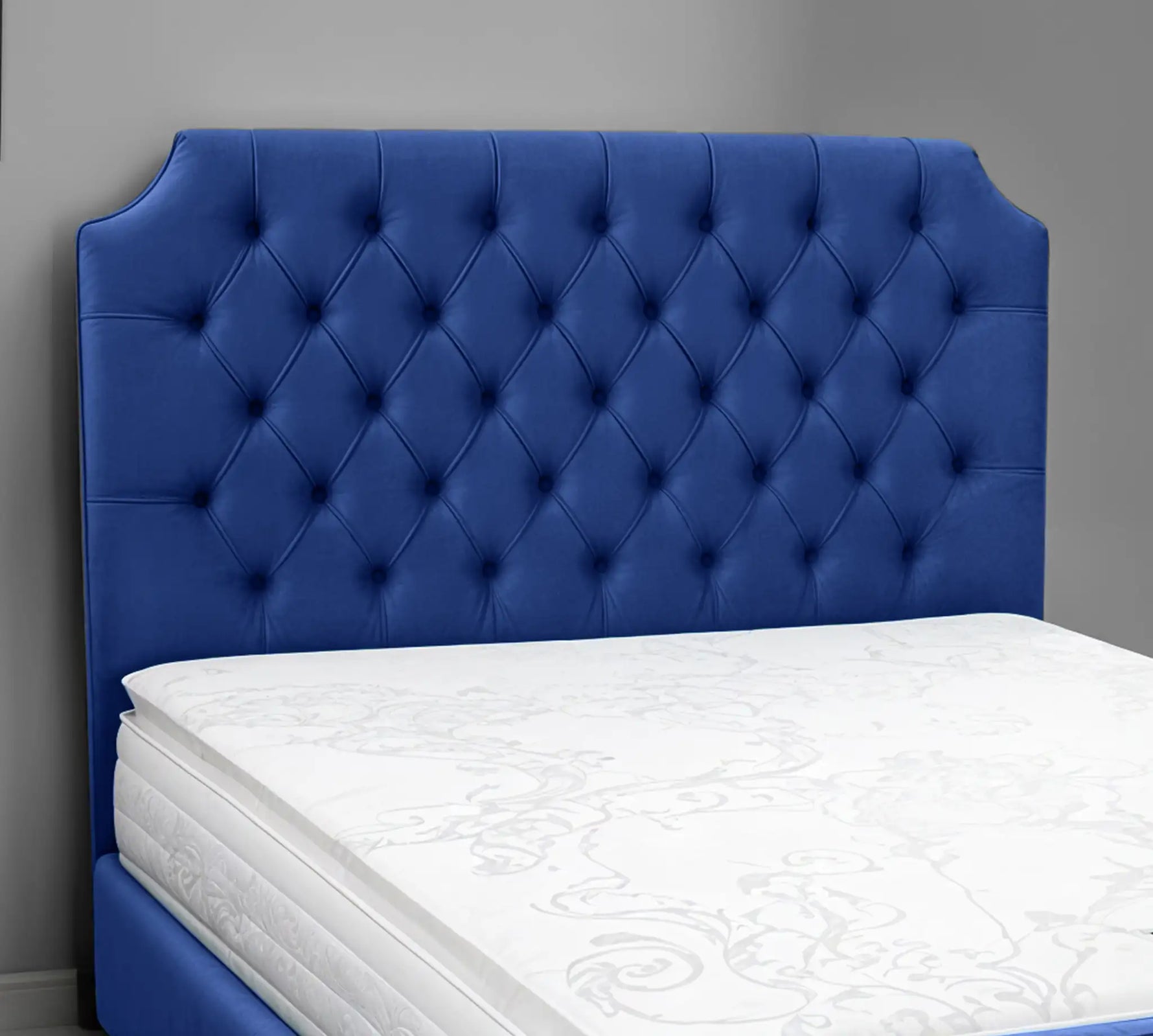 royal-blue-plush-velvet