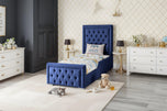 Royal-plush-velvet