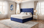 royal-blue-plush