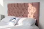 pink-plush-velvet