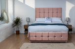pink-plush-velvet