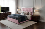 Pink-Plush