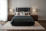Black-Plush