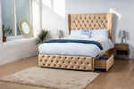 beige-plush-velvet