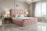 Pink-plush-velvat