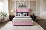 Pink-Plush