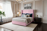 Pink-Plush