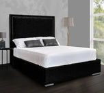 black-crushed-velvet