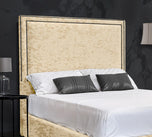 champagne-crushed-velvet