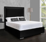 black-plush-velvet