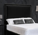 black-plush-velvet