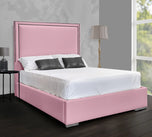 pink-plush-velvet