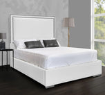 white-Plush-Valvet