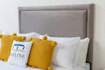 grey-plush-velvet