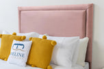 pink-plush-velvet
