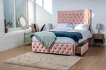 pink-plush-velvet