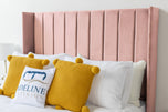 pink-plush-velvet