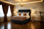 black-plush-velvet