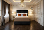 black-plush-velvet
