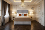 silver-plush-velvet