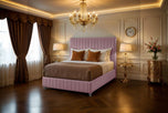 pink-plush-velvet