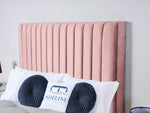 pink-plush-velvet