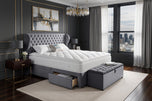 Grey Plush