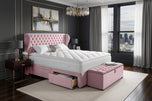 Pink Plush