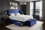 Royal Blue Plush