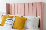 pink-plush-velvet
