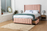 pink-plush-velvet