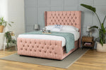 pink-plush-velvet