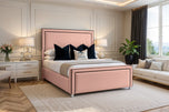 Pink Plush Velvet