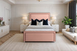 Pink Plush Velvet