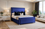 Royal Blue Plush Velvet