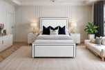 White Plush Velvet
