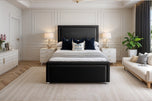 Black Plush Velvet