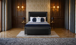black-plush-velvet