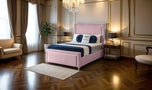 pink-plush-velvet