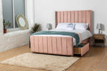 pink-plush-velvet